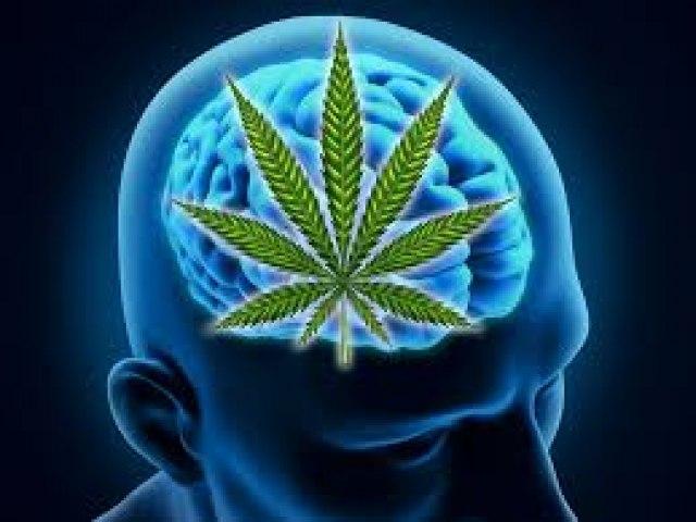 Estudo descobre que pessoas recorreram à cannabis durante a pandemia para se ‘sentirem mais felizes`.