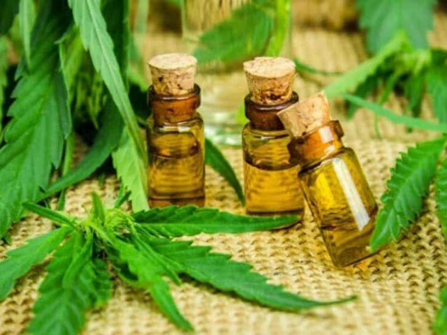 Cannabis medicinal legal é defendida por 78% da população