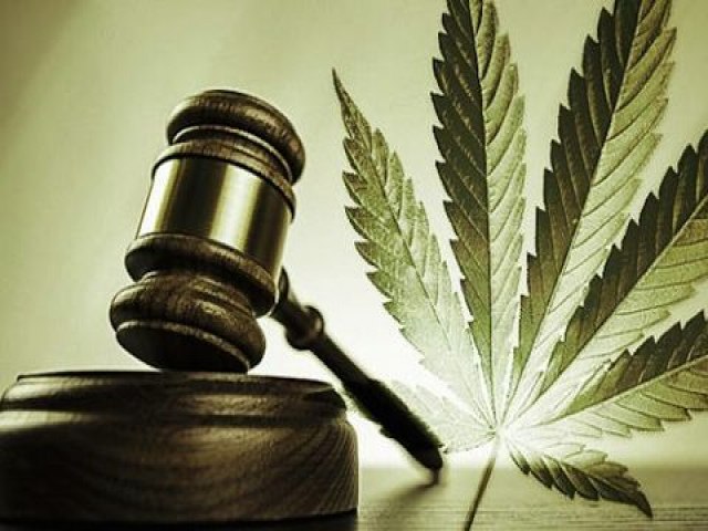 Projeto de lei terá pouco impacto na realidade da cannabis no Brasil