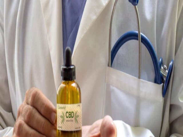 Cannabis medicinal gratuita pode virar lei em três capitais do País