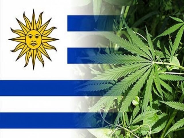 O que mudou no Uruguai após a legalização?