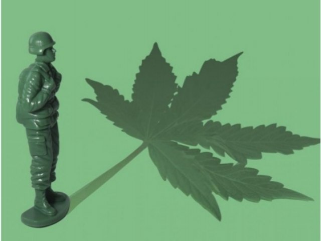 EUA: Senado vota para conceder cannabis medicinal a veteranos de guerra.
