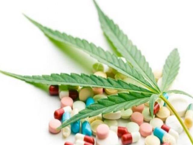 O que a indústria da cannabis deve aprender com a indústria farmacêutica