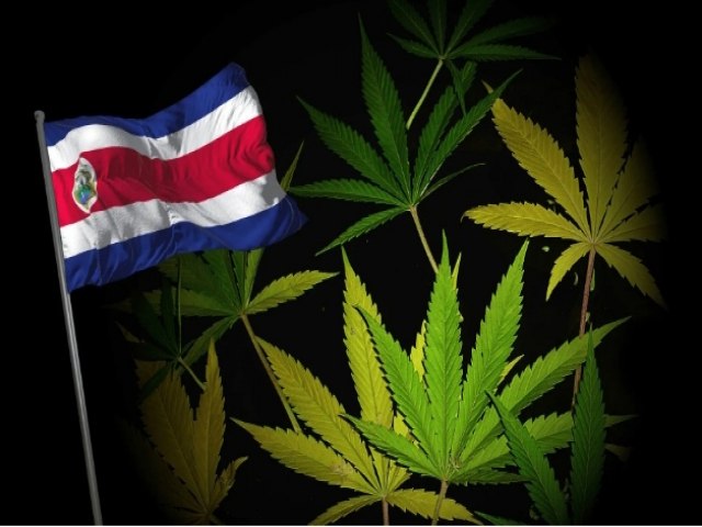 Costa Rica e o grande salto para a indústria da cannabis