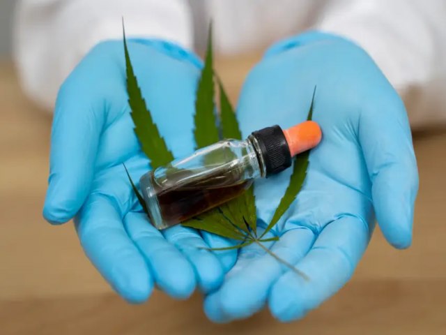 Autorizações para importar remédio à base de cannabis devem dobrar em 2022