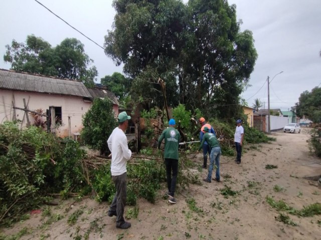 Prefeitura realiza a manuteno de poda e corte de rvores em ruas de Teixeira de Freitas aps danos causados pelas chuvas