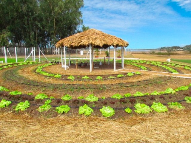 Inscri��es para Pr�mio Inova Agro seguem at� esta sexta (22)