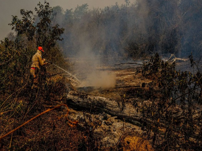 GOVERNO LIBERA R$ 10,1 MILHES PARA COMBATE A INCNDIO NO PANTANAL