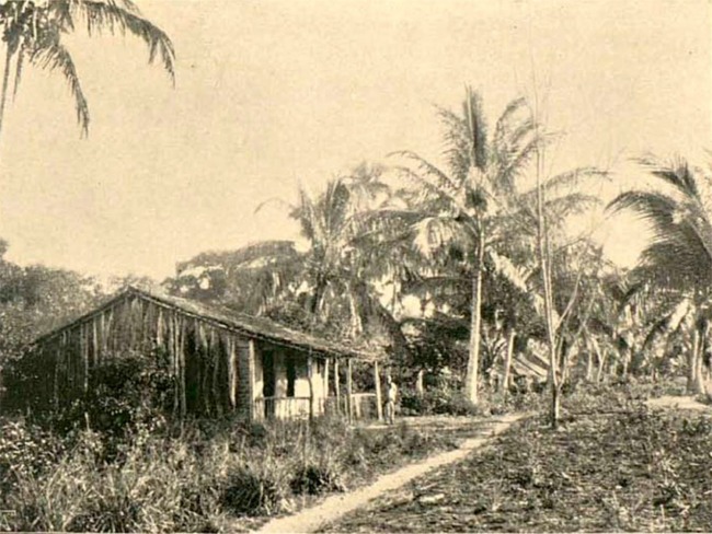 H 170 ANOS, LEI DE TERRAS OFICIALIZOU OPO DO BRASIL PELOS LATIFNDIOS