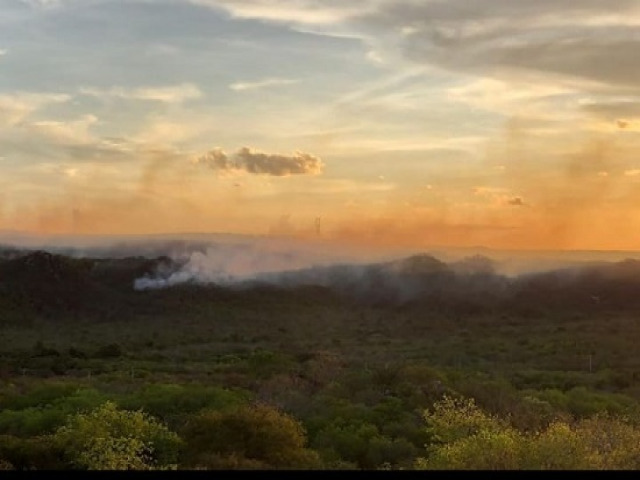 INCNDIO ATINGE GRANDE REA DE VEGETAO EM CANIND DE SO FRANCISCO 