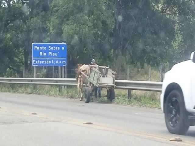 PONTE DA CACHOEIRA EM ESTNCIA  DA CONQUISTA AO ABANDONO