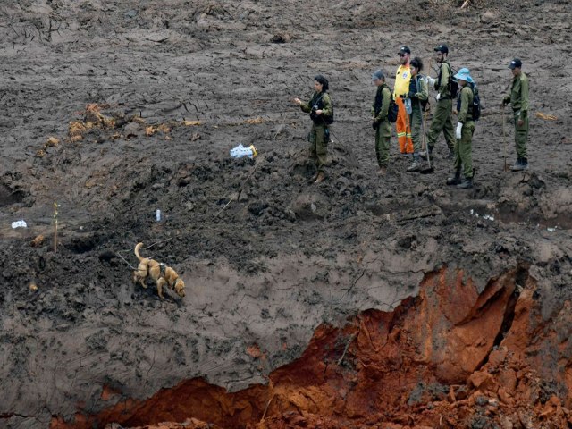 BRUMADINHO: MINAS GERAIS REJEITA VALOR DE REPARAO PROPOSTO PELA VALE