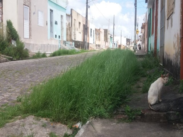 COBRAS SURGEM NA RUA ONDE MORA VEREADOR ALIADO DO PREFEITO DE ESTNCIA