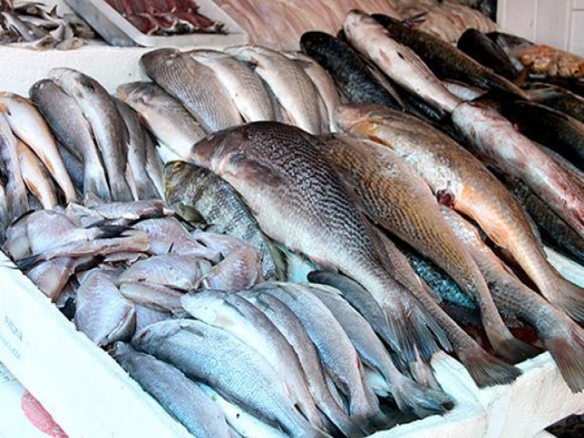 CONSUMO DE PEIXE AUMENTA NA QUARESMA