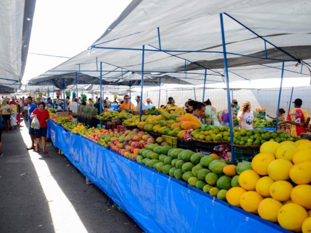 REORGANIZAO DAS FEIRAS LIVRES DE ARACAJU  MODELO PARA OUTROS MUNICPIOS