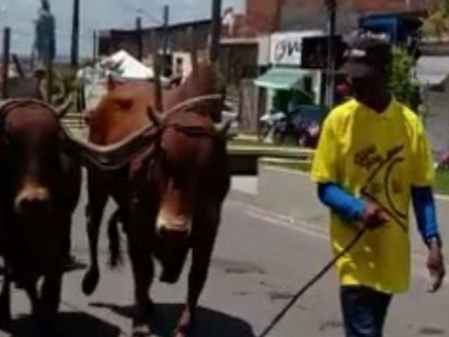 TOMAR DO GERU REALIZOU A 27 FESTA DO CARRO DE BOIS