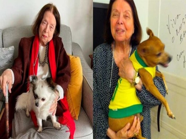 NLIDA PION DEIXA QUATRO APARTAMENTOS COMO HERANA A DOIS CACHORROS