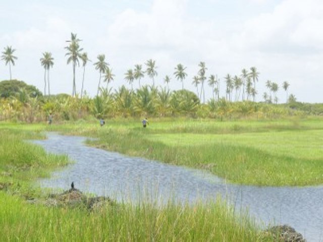 MINISTRIO PBLICO FEDERAL RECOMENDA QUE GOVERNO DE SERGIPE NO REALIZE REGULARIZAO DE TERRAS EM TERRITRIO QUILOMBOLA