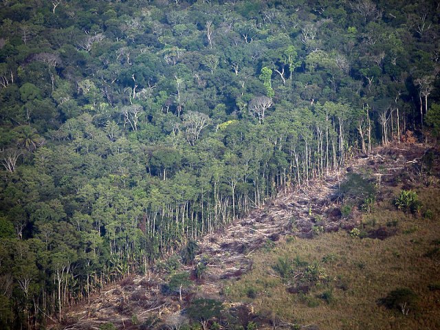 DEGRADAO DE FLORESTAS NA AMAZNIA BATE RECORDE MENSAL EM SETEMBRO