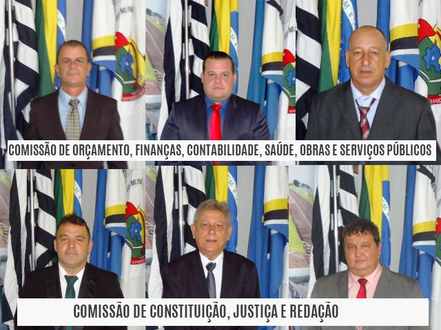Dois vereadores novatos vo presidir Comisses na Cmara de Castilho