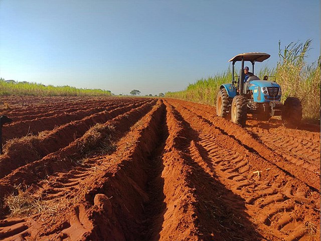 Risco de seca extrema leva secretaria de Agricultura a acelerar programa “Campo Acolhedor”