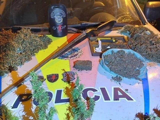 PMDF encontra cultivo de maconha na Ponte Alta no Gama