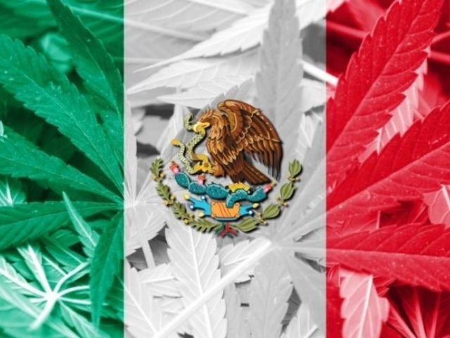 Cmara dos Deputados do Mxico aprova legalizao da maconha