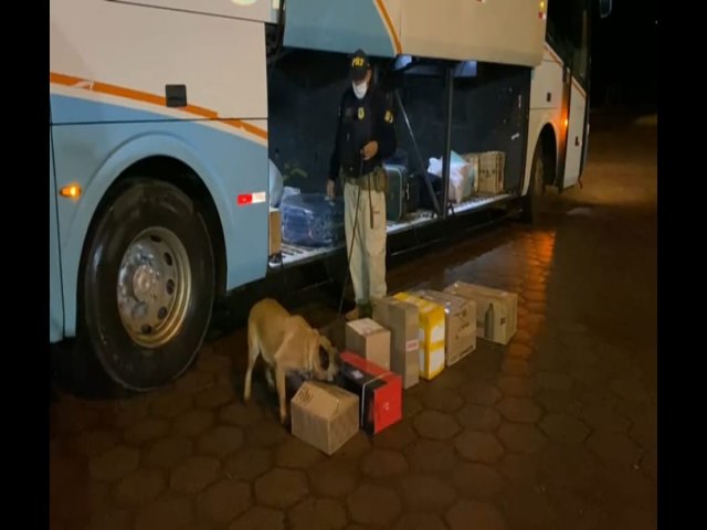 PRF APREENDE 3KG DE MACONHA EM NIBUS DE VIAGEM EM PLANALTINA-DF