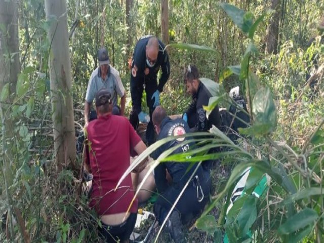 Trabalhador fica gravemente ferido ap�s ser atingido por �rvore