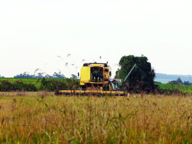 El Ni�o preocupa agricultores e coloca o estado em alerta