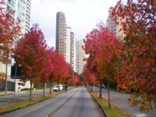 Curitiba registra mnima de 5,7C nesta quarta-feira (18). Frio vai at quando? Veja a previso!