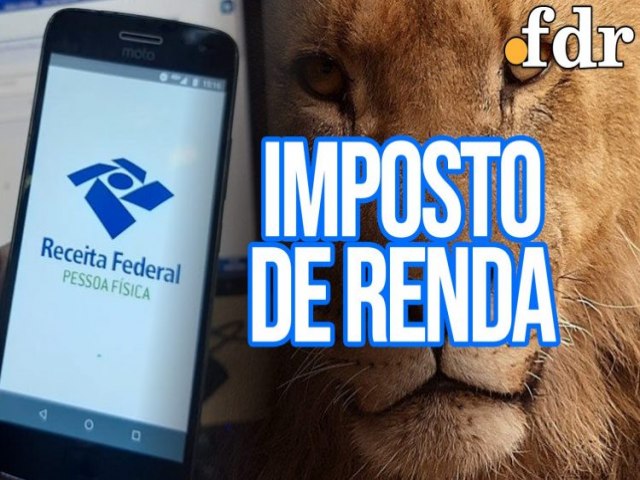 Imposto de Renda 2024: acesse E-book gratuito para tirar todas as dvidas