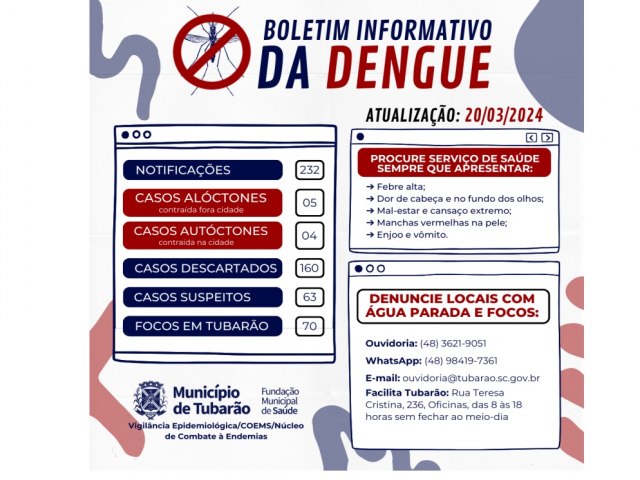 Nmeros da dengue seguem em alta na cidade 