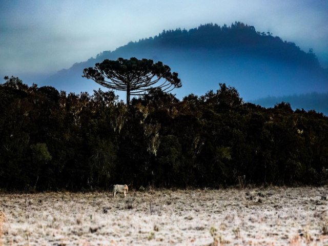 Nova frente fria deve provocar alteraes nas temperaturas em SC