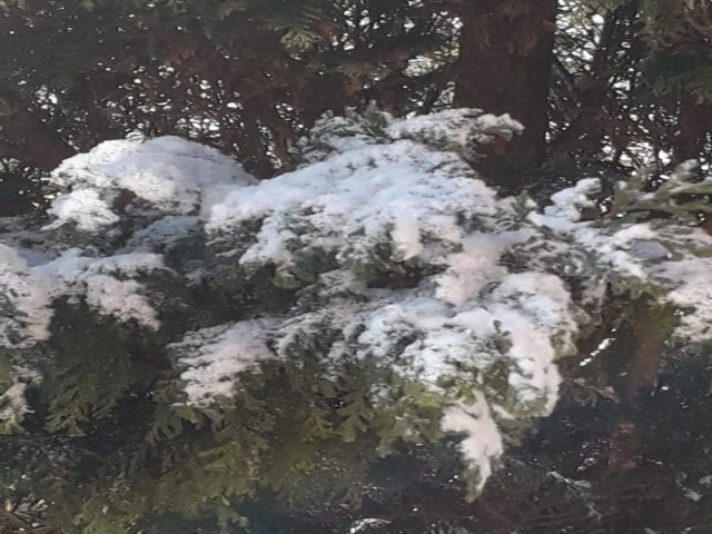 Primeira neve de 2024 em Santa Catarina  registrada em So Joaquim 