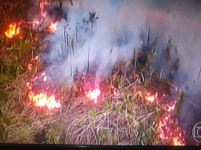 Queimadas no Brasil; o impacto da fumaa na sade