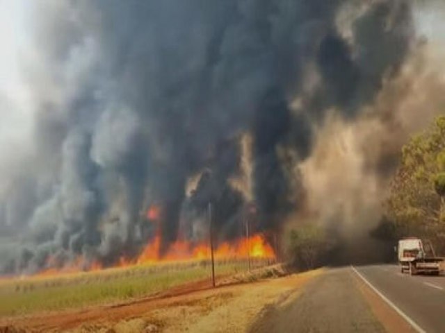 Suspeitos por provocarem incndios no interior de  SP so presos