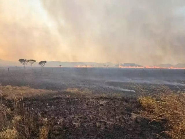 Incndio destri rea equivalente a 10 mil campos de futebol na Chapada dos Veadeiros