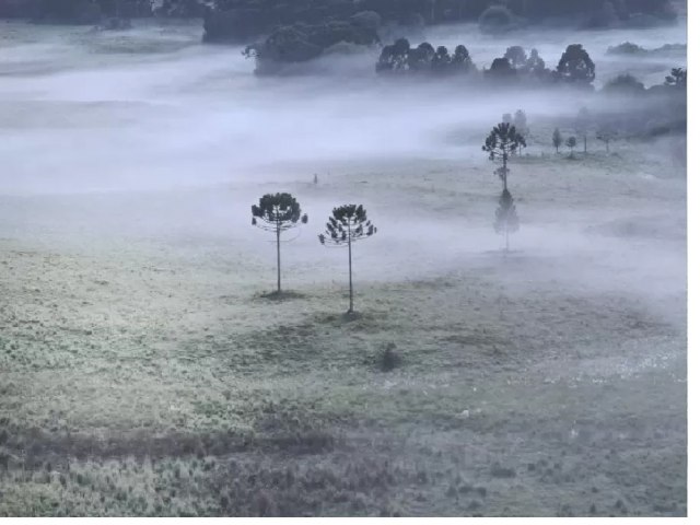 Frio intenso deve marcar os pr�ximos dias com temperaturas pr�ximas de 0�C e at� negativas na serra catarinense
