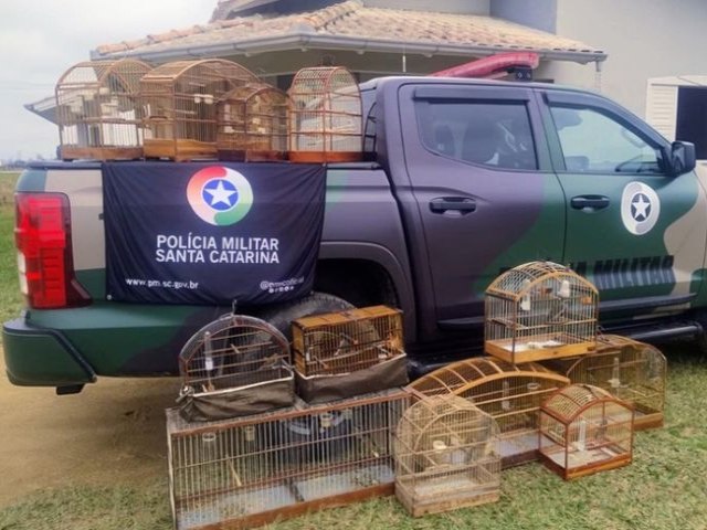 Resgate de aves silvestres � realizado pela Pol�cia Ambiental 
