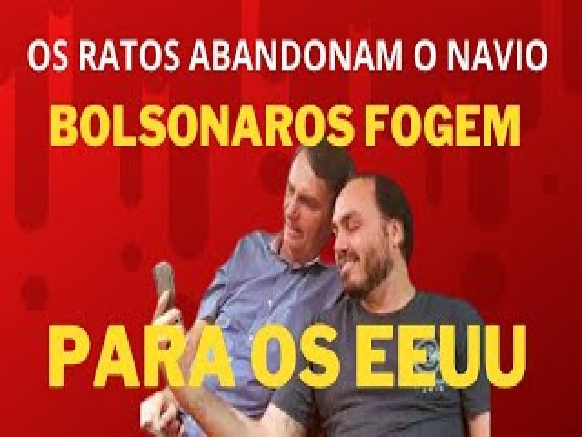 BOLSONAROS FOGEM PARA OS EEUU. OS RATOS ABANDONAM O NAVIO E OS PATRIOTRIOS CONTINUAM INSANOS