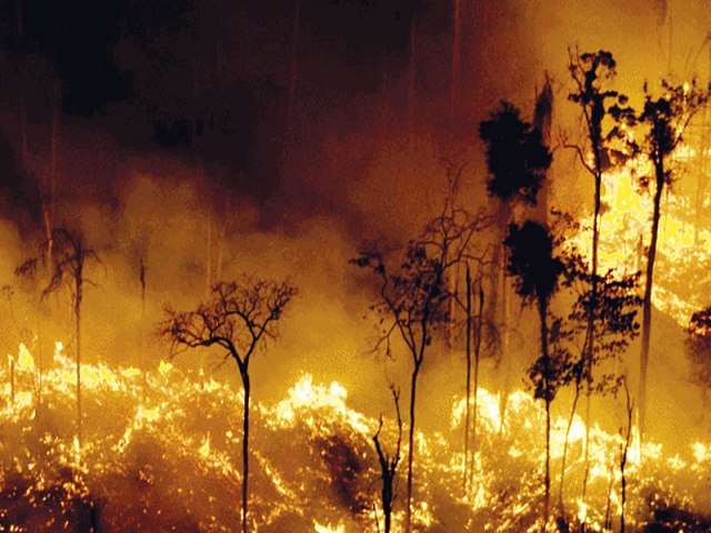 Queimadas destruram rea equivalente ao Acre em 2022; aumento em florestas foi de 93%