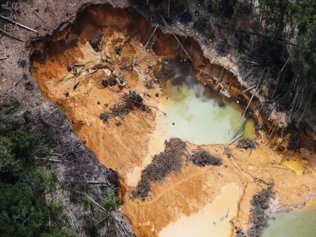 Efeito Bolsonaro: enquanto garimpo invade TI Yanomami, cresce venda de ouro de origem ilegal