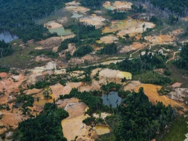 Garimpeiros realizam dois ataques a tiros contra autoridades na Terra Indgena Yanomami