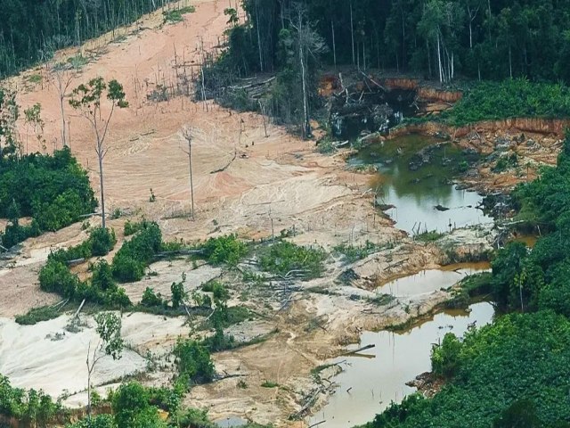 PF realiza operao contra explorao sexual em garimpos da Terra Yanomami