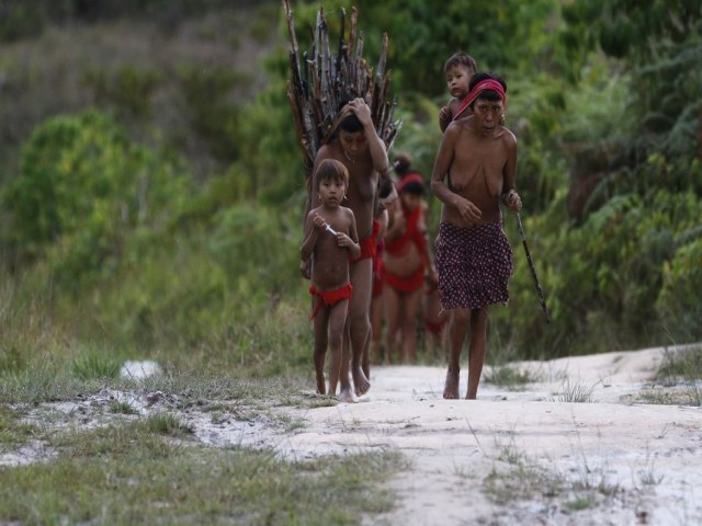 Governo Federal envia comitiva  Roraima aps ataque em terra yanomami