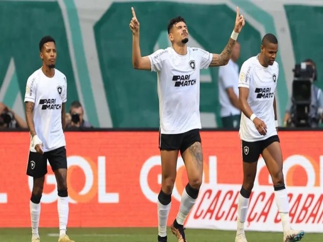 Botafogo derruba o Palmeiras no Allianz e dispara na liderana do Brasileiro