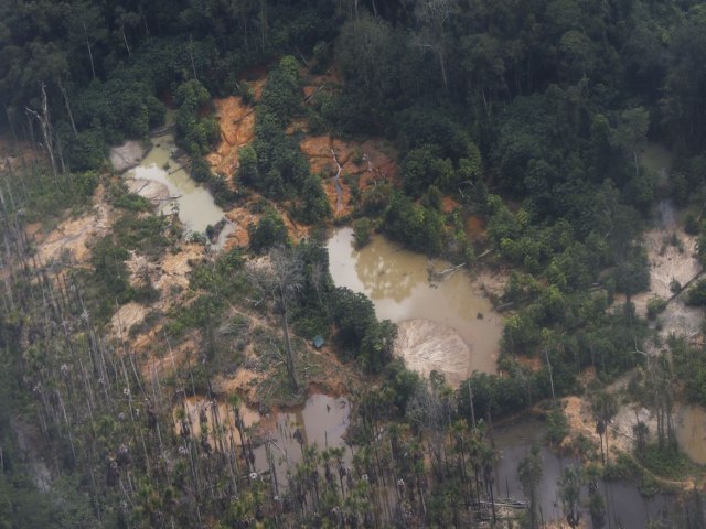 Garimpo ilegal devasta rea de 118 hectares em Rondnia e no Amazonas