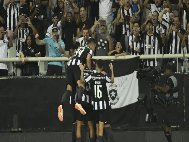 Tiquinho Soares marca, Hugo faz golao e Botafogo vence Guaran de virada pela Sul-Americana