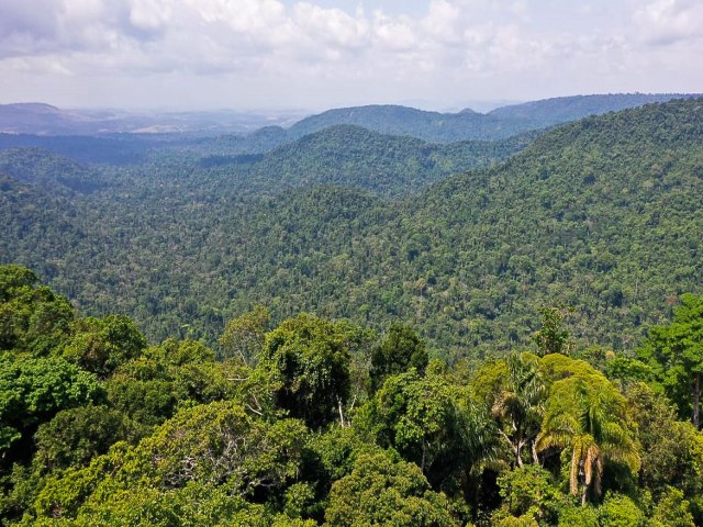 Festivais Dia da Amaznia alerta para defesa dos biomas brasileiros